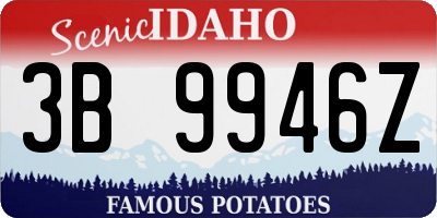 ID license plate 3B9946Z