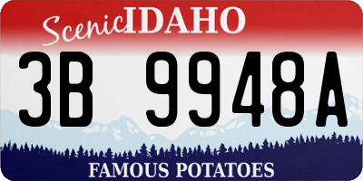 ID license plate 3B9948A