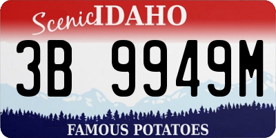 ID license plate 3B9949M