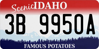 ID license plate 3B9950A
