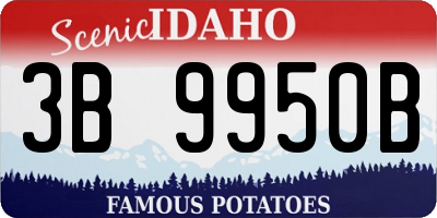 ID license plate 3B9950B