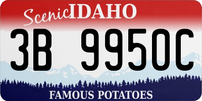 ID license plate 3B9950C
