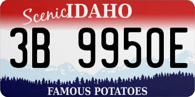 ID license plate 3B9950E