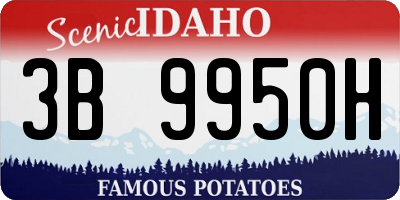 ID license plate 3B9950H
