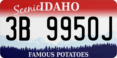 ID license plate 3B9950J
