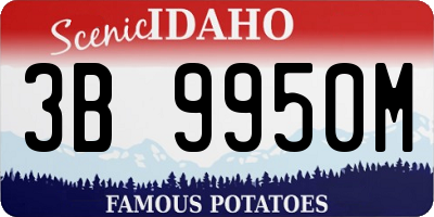ID license plate 3B9950M