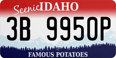 ID license plate 3B9950P