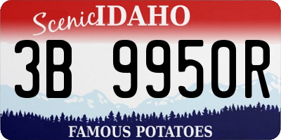 ID license plate 3B9950R