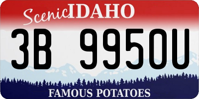 ID license plate 3B9950U