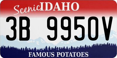 ID license plate 3B9950V