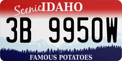 ID license plate 3B9950W