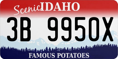 ID license plate 3B9950X