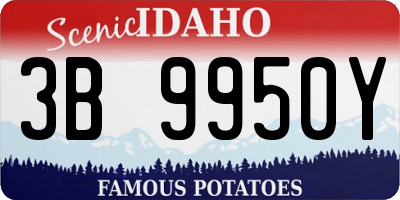 ID license plate 3B9950Y