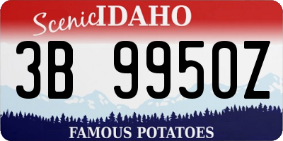 ID license plate 3B9950Z