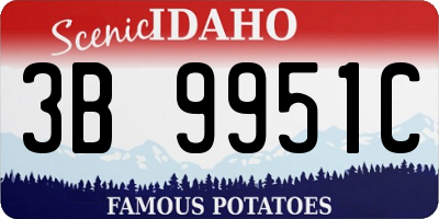 ID license plate 3B9951C