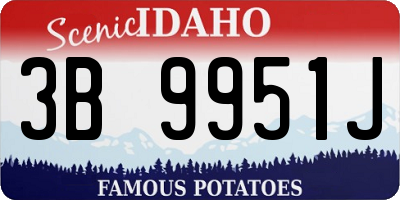 ID license plate 3B9951J