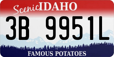 ID license plate 3B9951L
