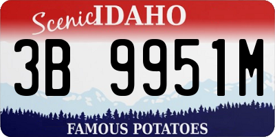 ID license plate 3B9951M