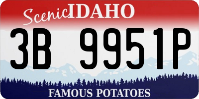 ID license plate 3B9951P
