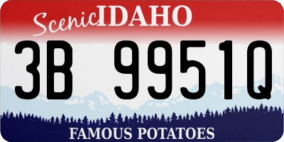 ID license plate 3B9951Q