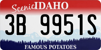 ID license plate 3B9951S