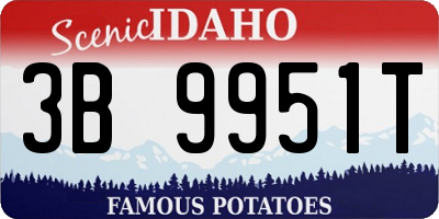 ID license plate 3B9951T