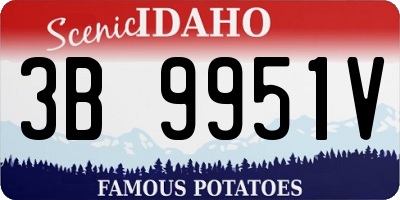ID license plate 3B9951V