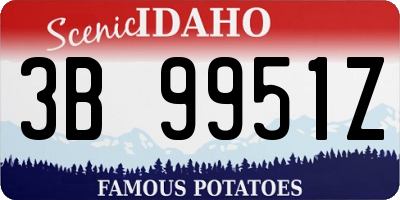 ID license plate 3B9951Z
