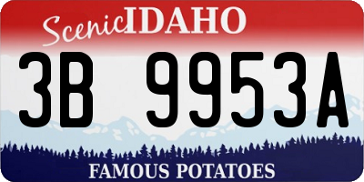 ID license plate 3B9953A