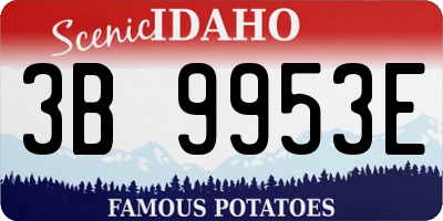 ID license plate 3B9953E