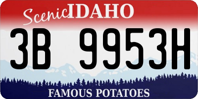 ID license plate 3B9953H