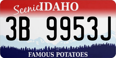 ID license plate 3B9953J