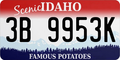 ID license plate 3B9953K