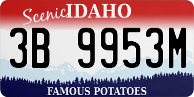 ID license plate 3B9953M