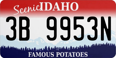 ID license plate 3B9953N