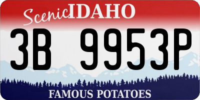 ID license plate 3B9953P