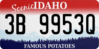 ID license plate 3B9953Q