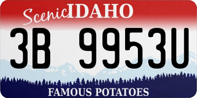 ID license plate 3B9953U