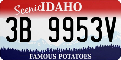 ID license plate 3B9953V