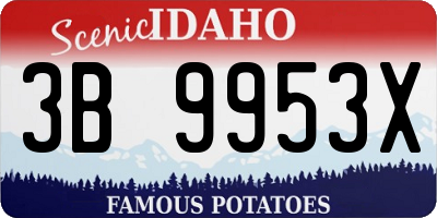 ID license plate 3B9953X