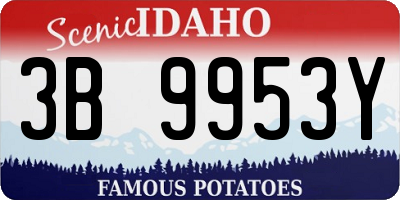ID license plate 3B9953Y