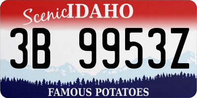 ID license plate 3B9953Z