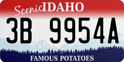 ID license plate 3B9954A