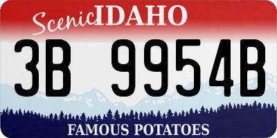 ID license plate 3B9954B