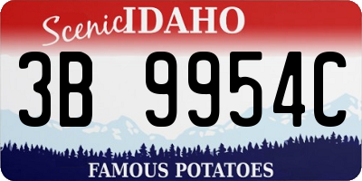 ID license plate 3B9954C
