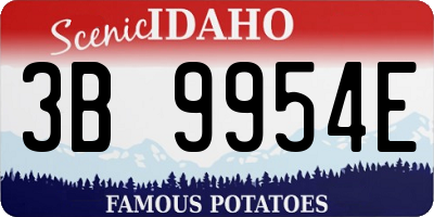 ID license plate 3B9954E