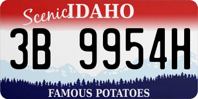 ID license plate 3B9954H