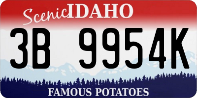 ID license plate 3B9954K
