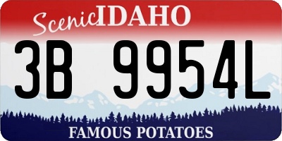 ID license plate 3B9954L