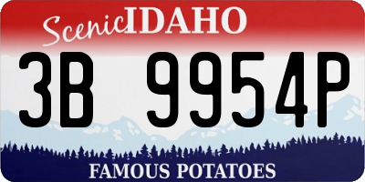 ID license plate 3B9954P
